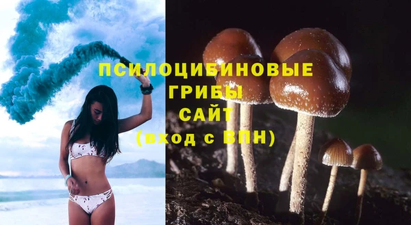 мяу мяу мука Алзамай