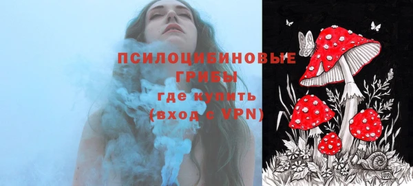 таблы Алексеевка